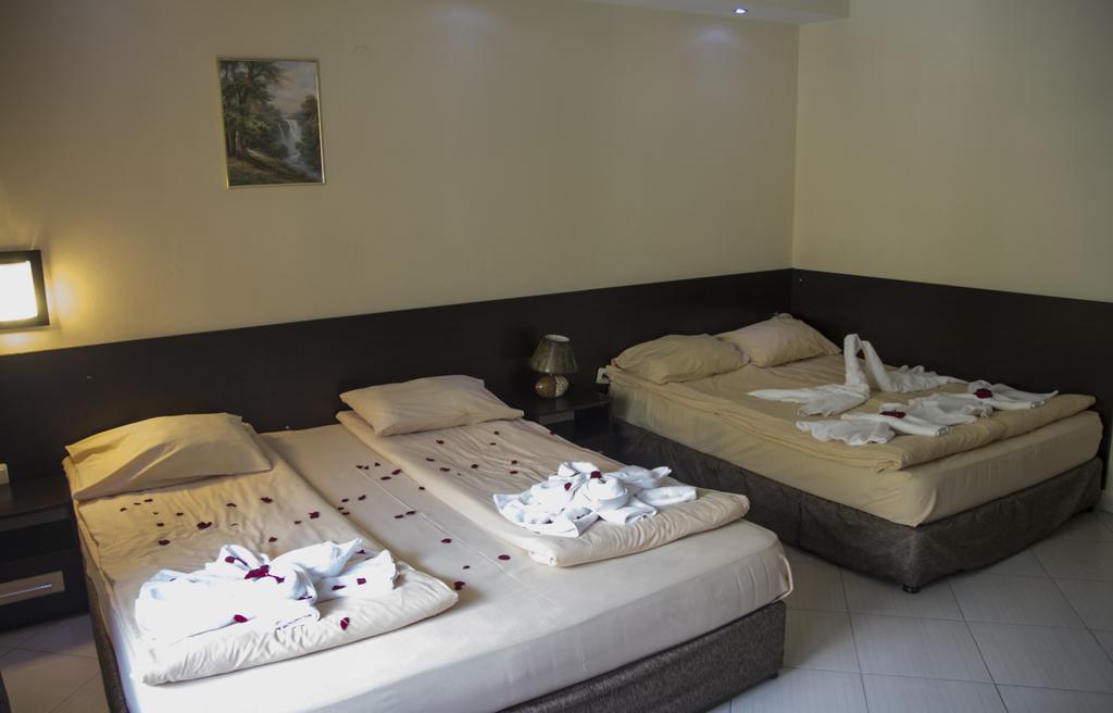 Family Hotel Delta Ognyanovo  Phòng bức ảnh